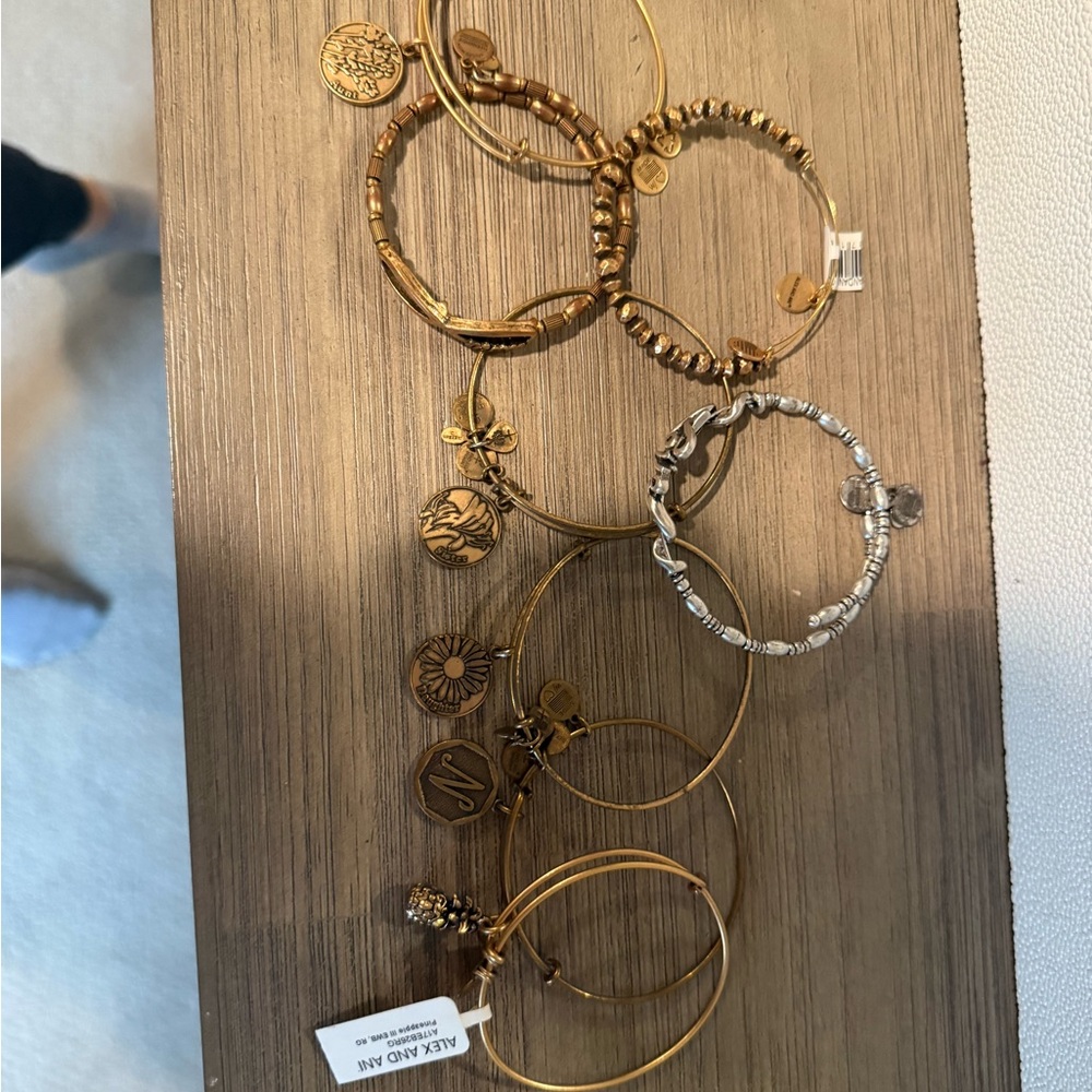 Alex and Ani Mixed Metal Charm Bracelet Bundle